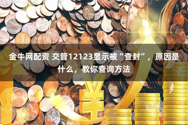 金牛网配资 交管12123显示被“查封”，原因是什么，教你查询方法