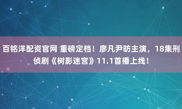 百铭洋配资官网 重磅定档！廖凡尹昉主演，18集刑侦剧《树影迷宫》11.1首播上线！