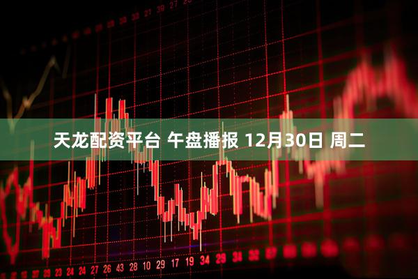 天龙配资平台 午盘播报 12月30日 周二