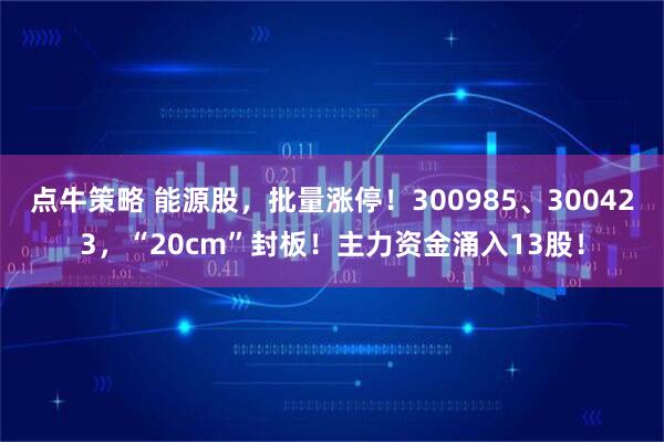 点牛策略 能源股，批量涨停！300985、300423，“20cm”封板！主力资金涌入13股！